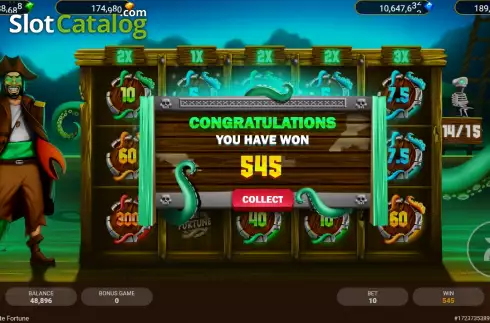 Скрин3. Pirate Fortune слот