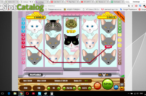 Скрин3. Cats (Portomaso) слот