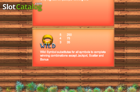 Скрин5. Treasure Hunter (Portomaso Gaming) слот