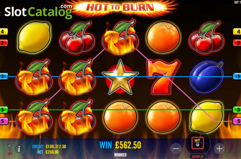 Скрин4. Hot to Burn слот
