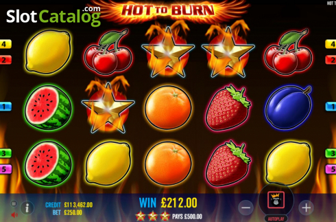 Скрин5. Hot to Burn слот