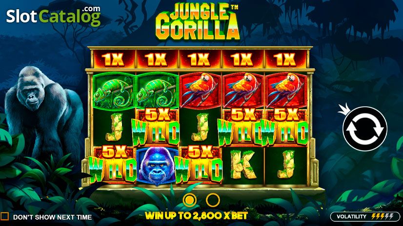 Jungle-Gorilla Jungle-Gorilla