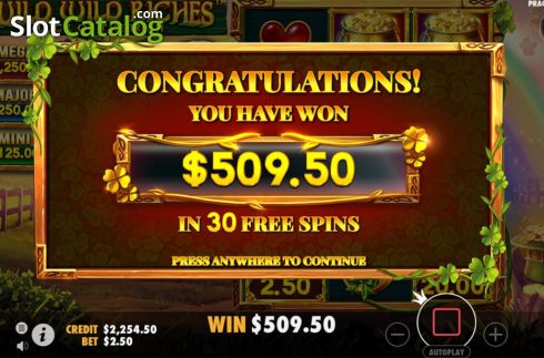 Скрин4. Wild Wild Riches слот
