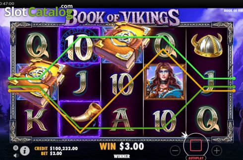 Скрин4. Book of Vikings слот