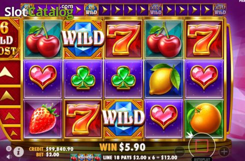 Скрин8. Wild Booster слот