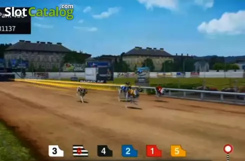 Скрин2. Greyhound Racing (Pragmatic Play) слот