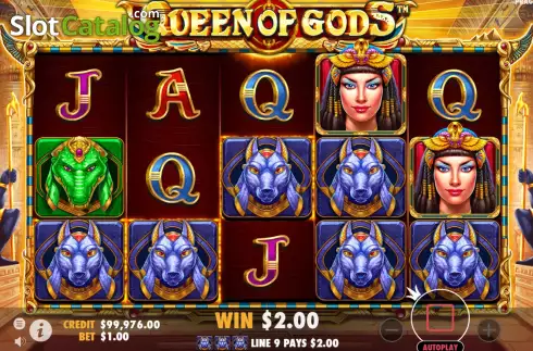 Скрин5. Queen of Gods слот
