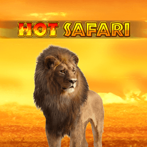 Hot Safari логотип