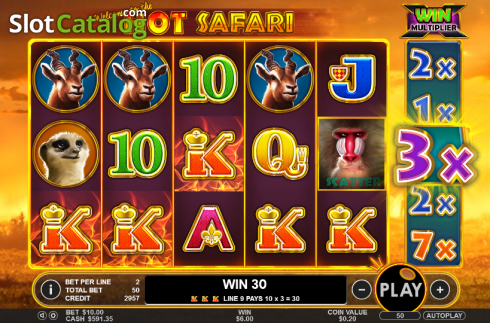 Скрин4. Hot Safari слот