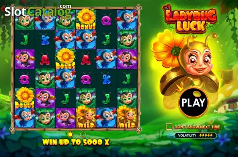 Скрин2. Ladybug Luck слот