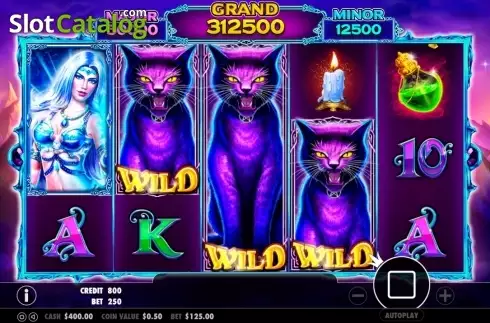 Скрин7. Wild Spells слот