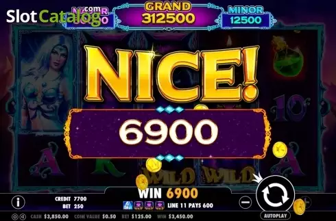 Скрин8. Wild Spells слот