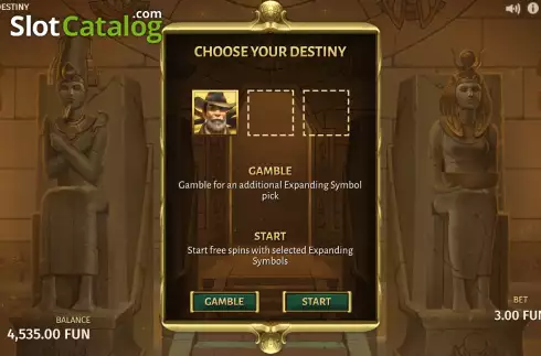 Скрин6. Book of Destiny слот