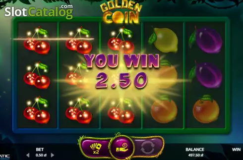 Скрин3. Golden Coin слот