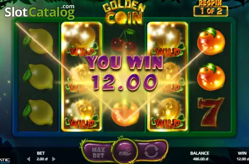Скрин5. Golden Coin слот