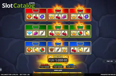 Скрин2. Prospector Wilds Hold & Blitz слот