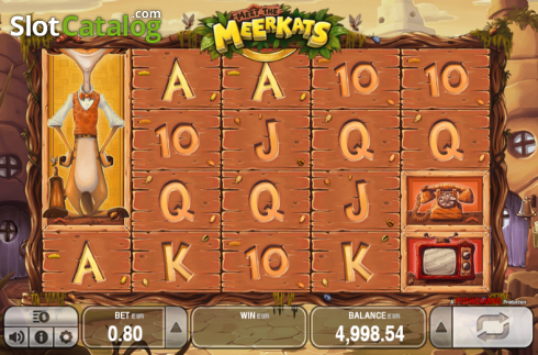 Скрин3. Meet the Meerkats слот