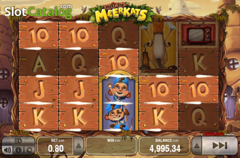 Скрин5. Meet the Meerkats слот