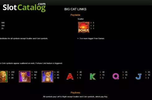 Скрин5. Big Cat Links слот