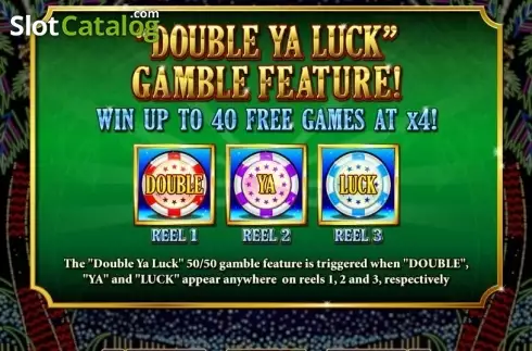 Скрин5. Double Ya Luck слот