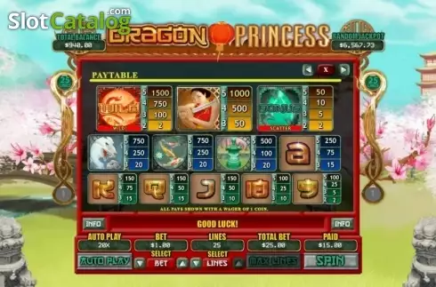 Скрин4. Dragon Princess (RTG) слот