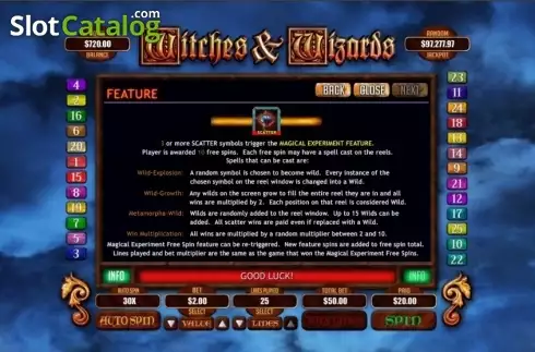 Скрин6. Witches & Wizards слот
