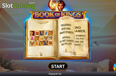 Скрин2. Book Of Kings (Rarestone Gaming) слот