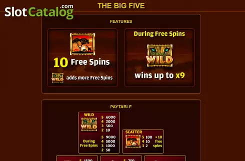 Скрин5. The Big Five слот
