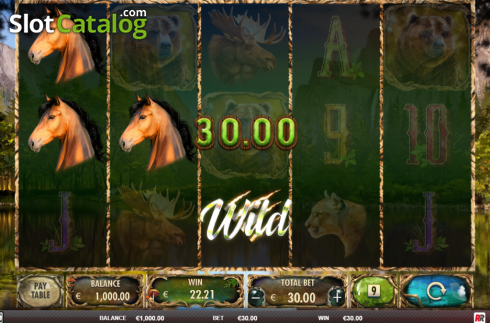 Скрин3. Wild Animals слот