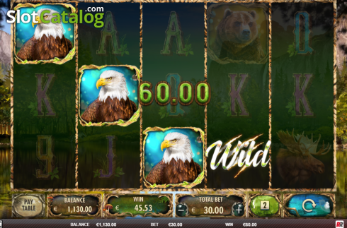 Скрин6. Wild Animals слот
