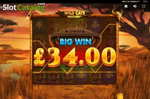 Скрин5. Wild Cats Multiline слот