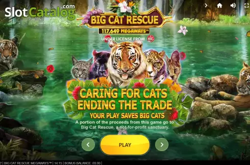 Скрин2. Big Cat Rescue Megaways слот
