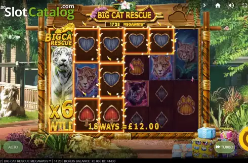 Скрин4. Big Cat Rescue Megaways слот