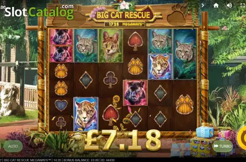 Скрин5. Big Cat Rescue Megaways слот