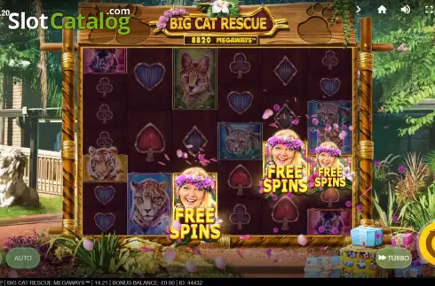 Скрин6. Big Cat Rescue Megaways слот