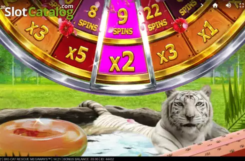 Скрин8. Big Cat Rescue Megaways слот