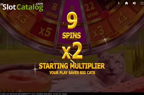 Скрин9. Big Cat Rescue Megaways слот