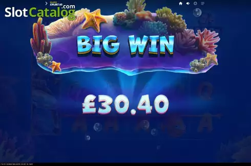 Скрин9. Fishtastic слот