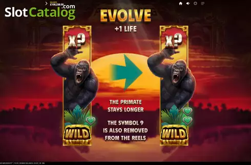 Скрин8. Primate King Megaways слот