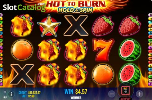 Скрин6. Hot To Burn Hold And Spin слот