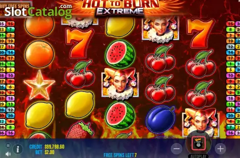 Скрин6. Hot to Burn Extreme слот