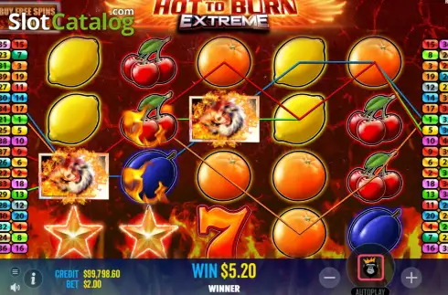 Скрин7. Hot to Burn Extreme слот