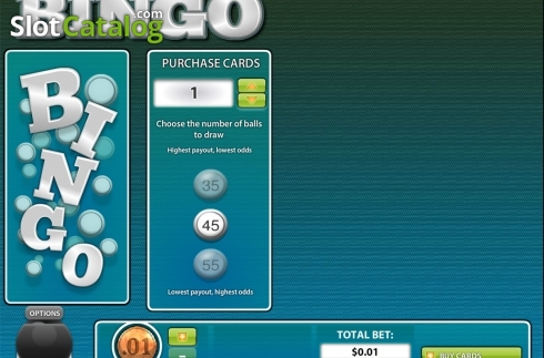 Скрин2. 80 Ball BINGO слот