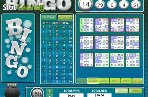 Скрин4. 80 Ball BINGO слот