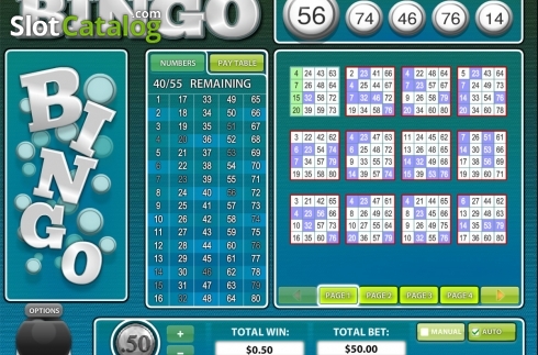 Скрин5. 80 Ball BINGO слот