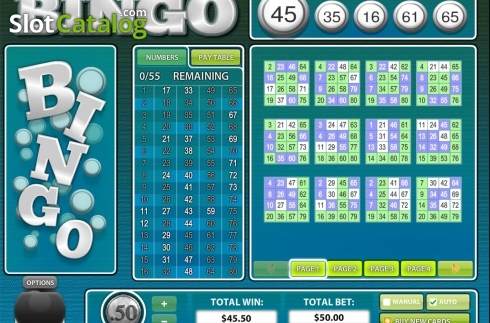 Скрин6. 80 Ball BINGO слот