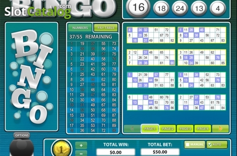 Скрин4. European BINGO слот
