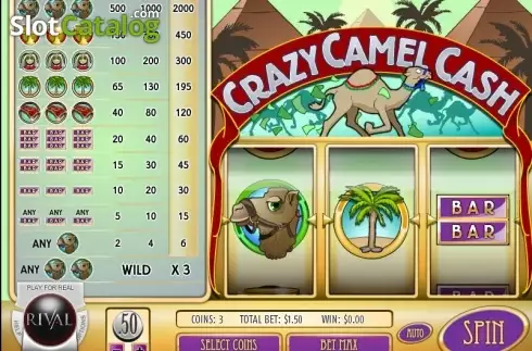 Скрин2. Crazy Camel Cash слот