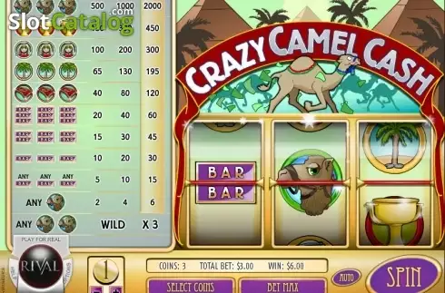 Скрин3. Crazy Camel Cash слот