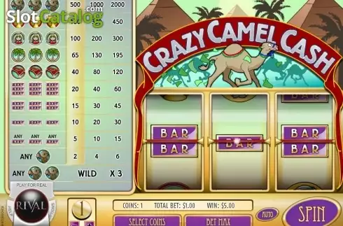 Скрин4. Crazy Camel Cash слот